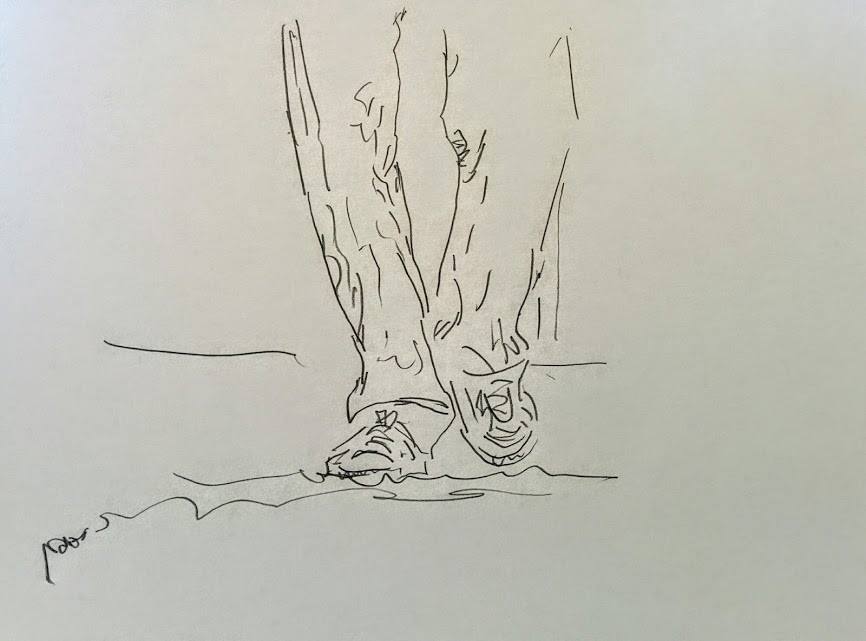 ציור : ערן צלגוב ציור : ערן צלגוב