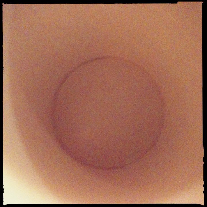 ריח סוכר - צילום : דויד פרץ